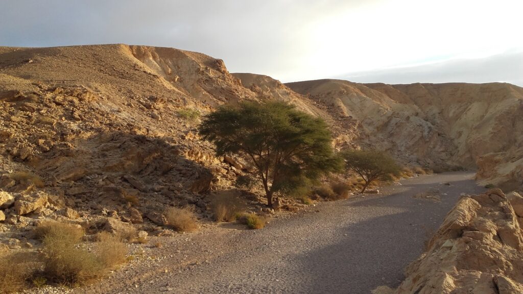 red canyon eilat