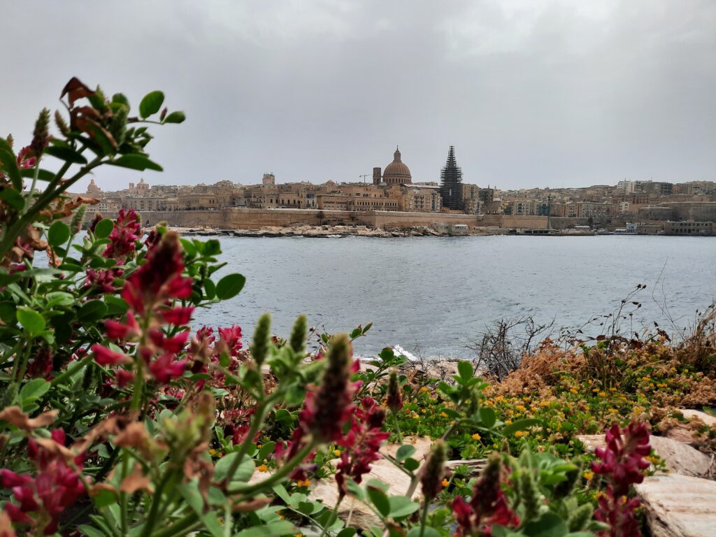 silema valetta malta