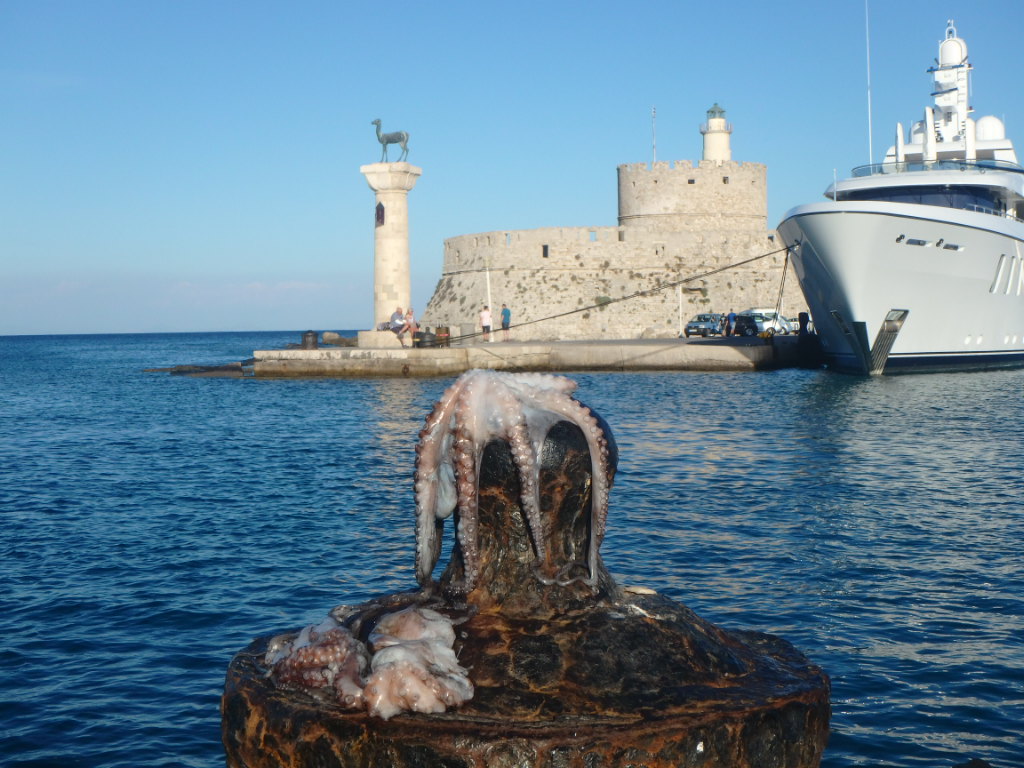 rodos