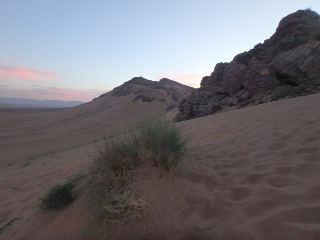 noc na pustyni sahara