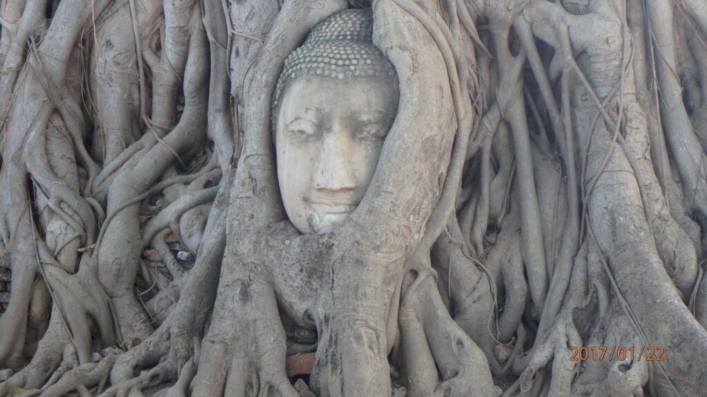 budda tajlandia ayutthaya