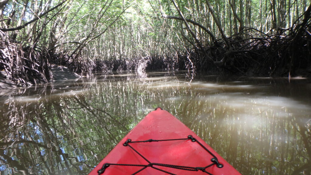 krabi kajaki