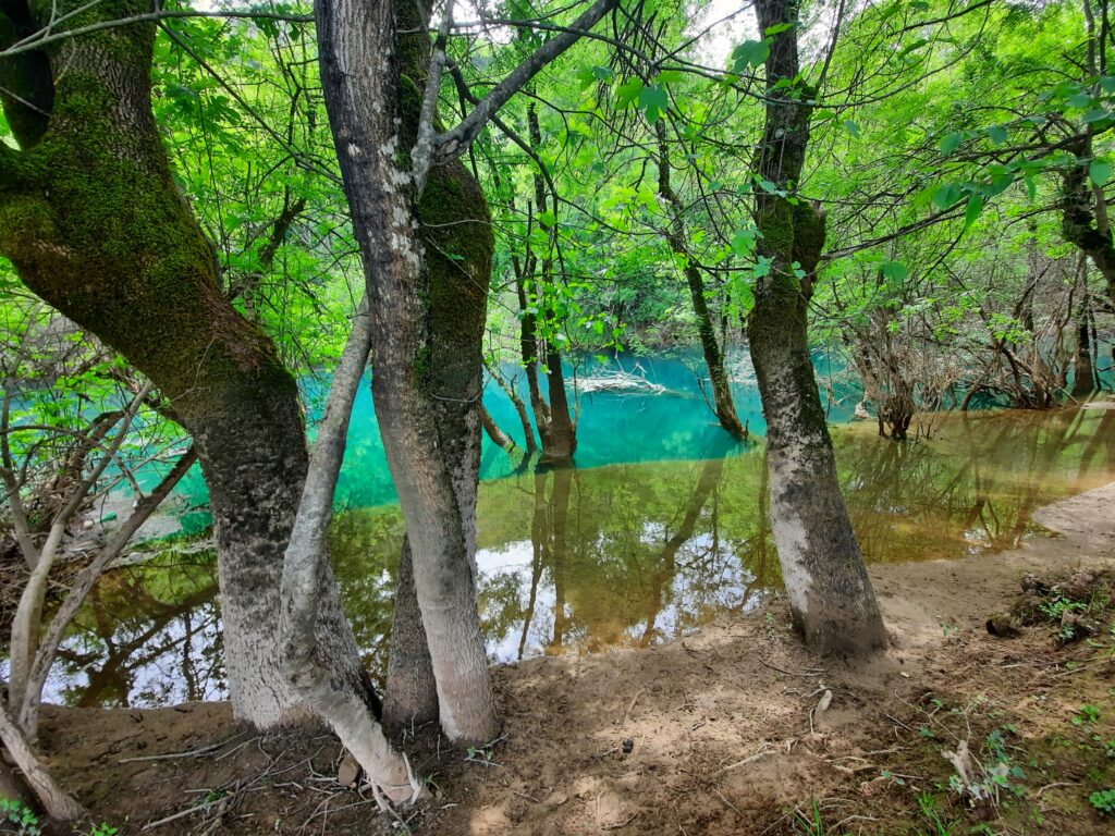 bośnia i hercegowina wodospad kravica