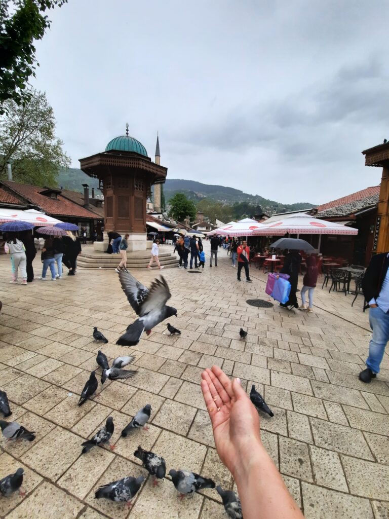 sarajewo sebilj