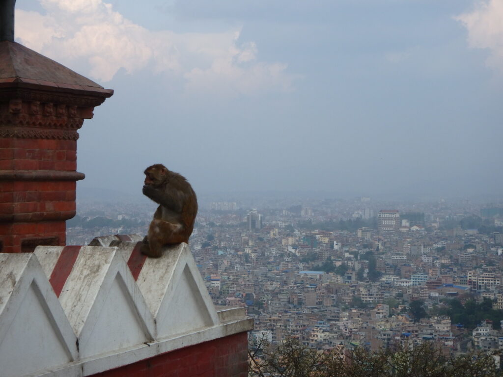 widok na kathmandu