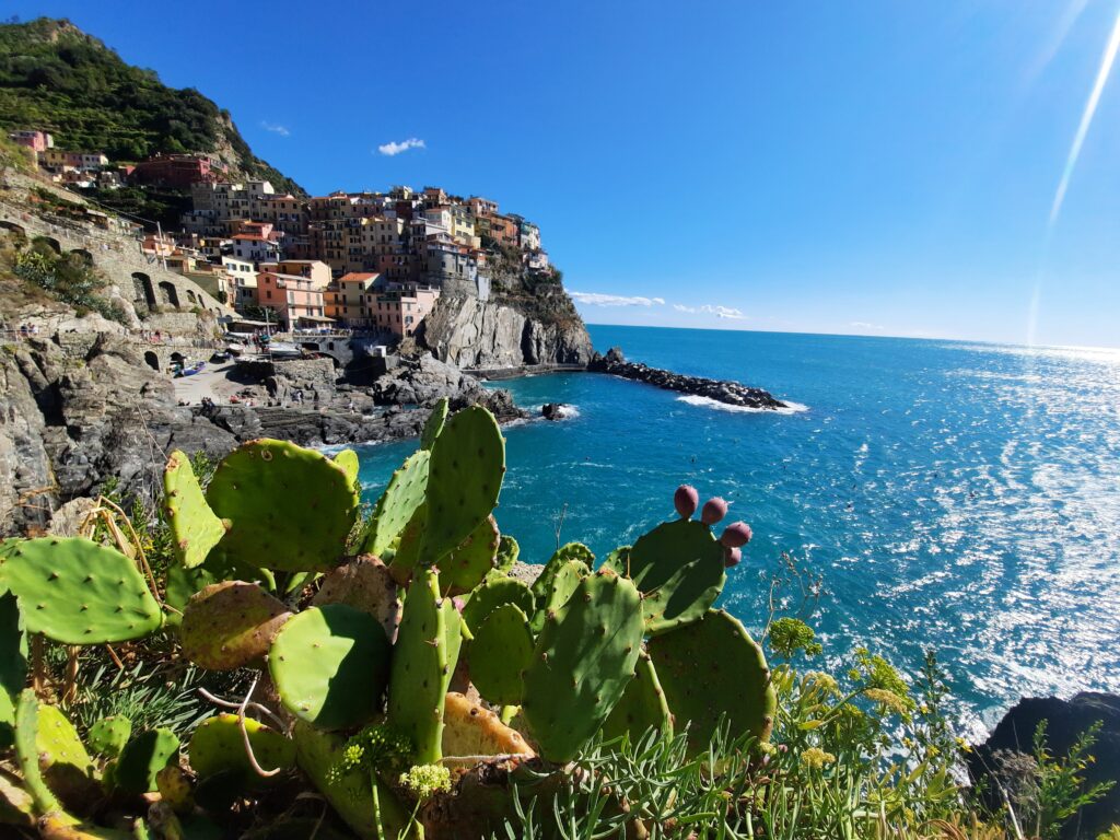 cinque terre manarola