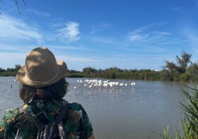 Park Camargue